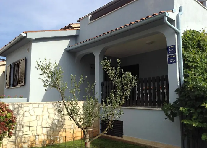 The Blue House