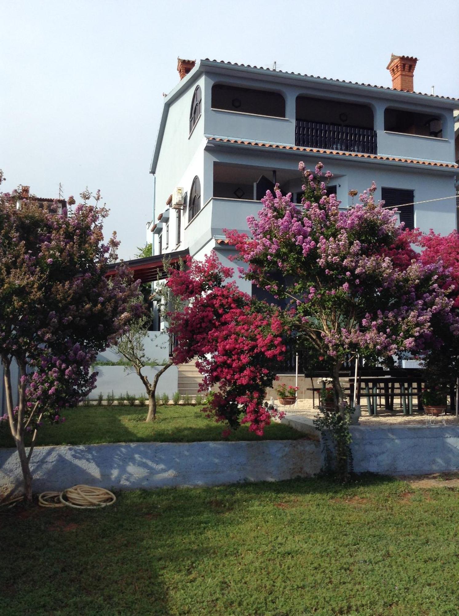 The Blue House Vinkuran