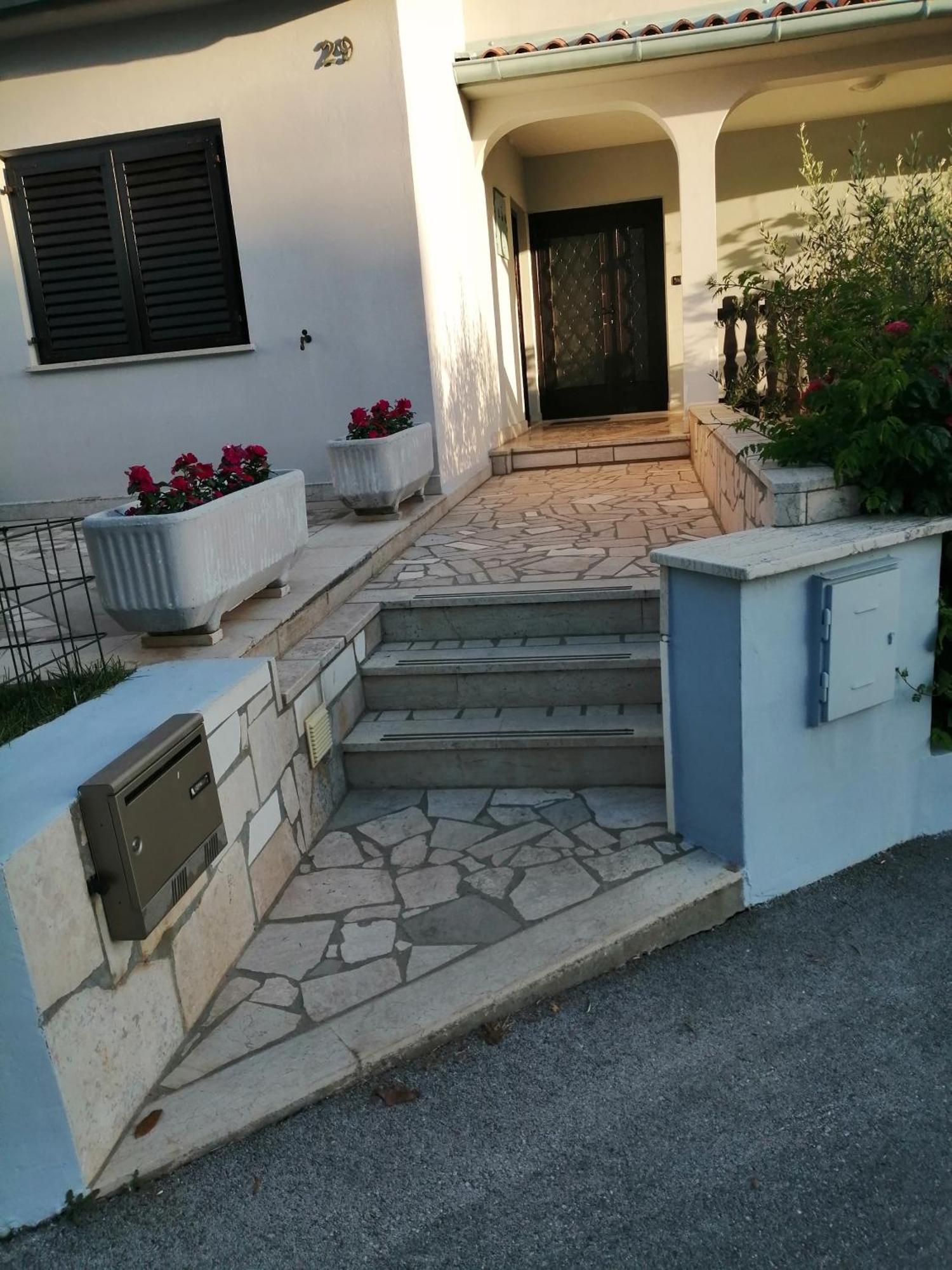 The Blue House *